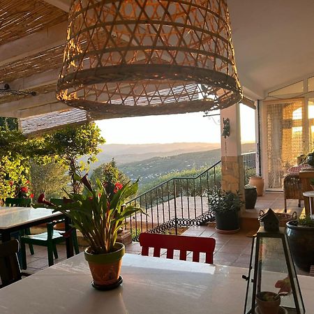 El Nispero Dulce Bed & Breakfast Alcaucin Luaran gambar